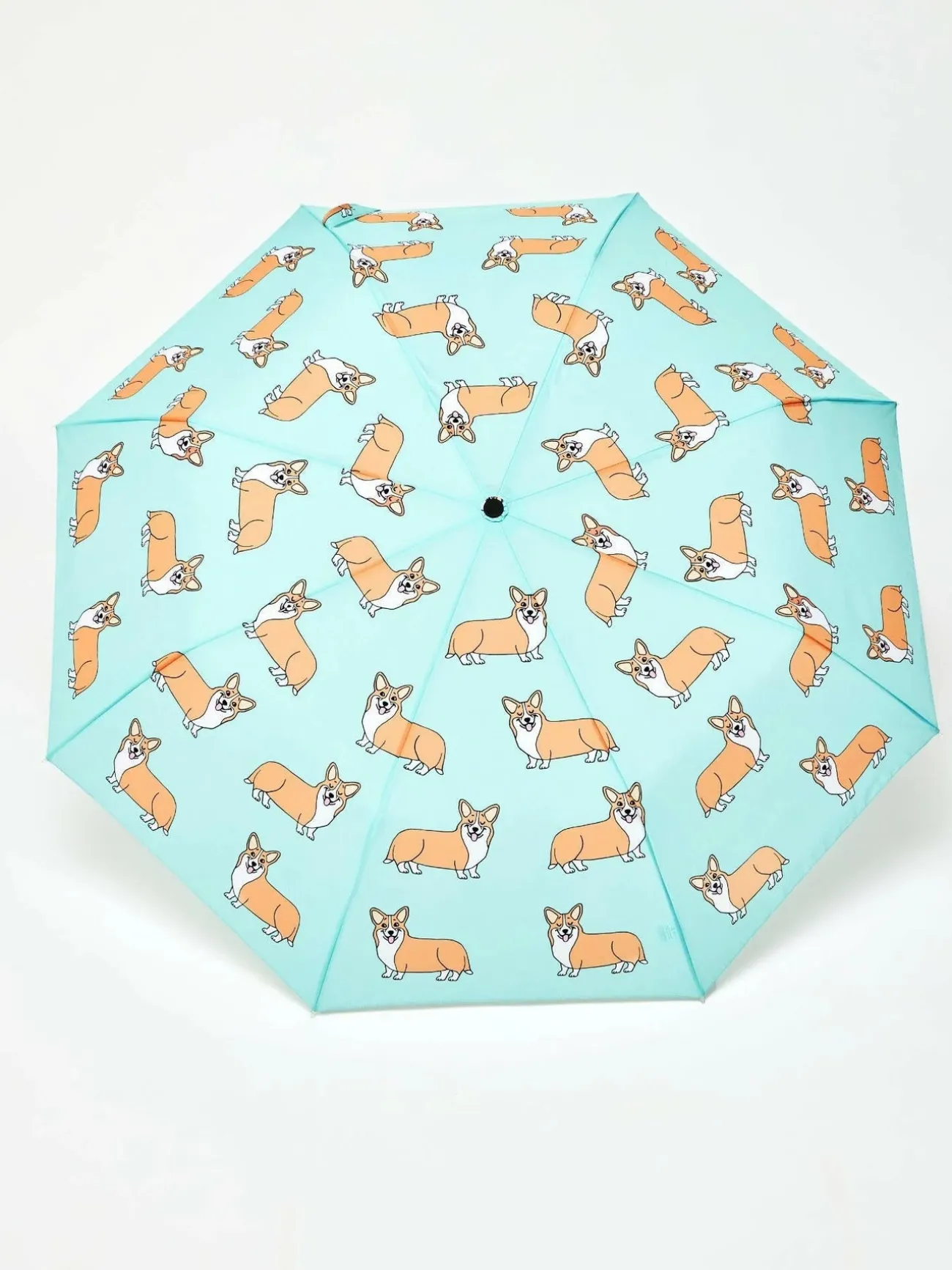 ORIGINAL DUCKHEAD Accessoires (Porte-Clés, Parapluies)^Parapluie compact avec manche Duck - Corgi mint